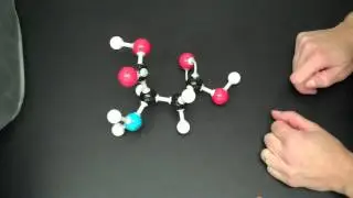 Molecular Model of Aspartic Acid