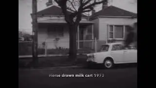 Horse drawn milk cart Melbourne 1973.