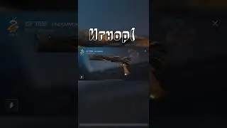 Надеюсь в реках #damaj9i #h9ije #standblox#gaming #standoff2 #blacksky #рек #стандофф2 #подпишись
