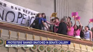 Protesters' banner snatched in Senate Gallery
