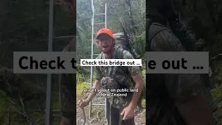 CRAZY BRIDGE IN NEWZEALAND !!! #nz #hiking #bridge