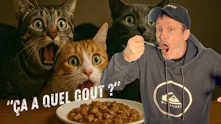 J'AI MANGÉ DE LA NOURRITURE POUR CHATS (+ Tests 4 produits WTF)