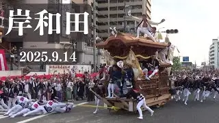 令和7年9月14日　岸和田だんじり祭　本宮　午後曳行　カンカン場　全やりまわし　ハプニングあり　ラストまで