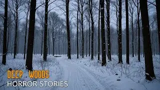 10 Unnerving Deep Woods HORROR Stories |  With Rain Sounds