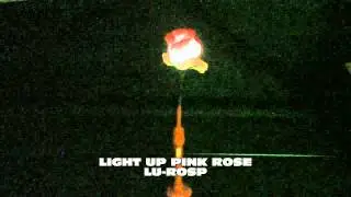 Light-Up Pink Rose