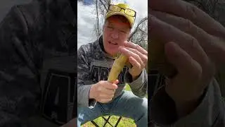 Ancient Stone Hatchet
