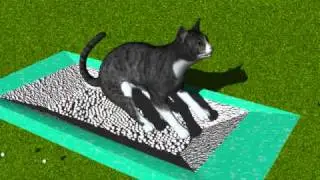 kitty litter physics animation