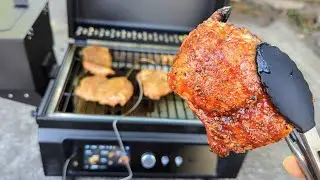 🥩Bring on the meats!! :: ASMOKE Essential **Portable** Pellet Smoker