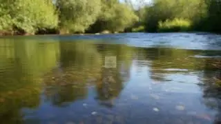 Gentle Stream Reflections &mdash; Harmony Haven Music| Calming Piano & Nature Soundscape for Relaxation