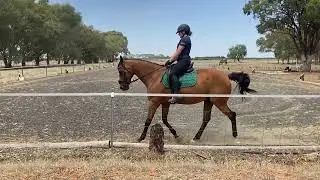 2023 EA Novice 2 2 21012026