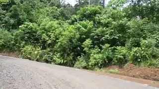 Jalan membelah hutan perawan Pamar Pameu - Geumpang