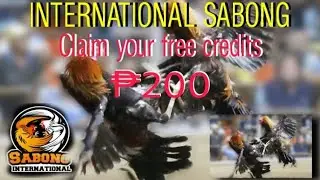 HOW TO CLAIM FREE ₱200 CREDITS IN SABONG INTERNATIONAL