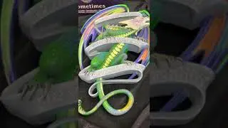 Anne Stokes Sometimes Dragon Plaque at Angel Clothing