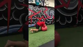 VHP Stability Ball Single Leg Bear Position Stir the Pot