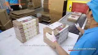 Case88: Robotime Technology - Premium DIY Crafts with Global Support & Certified Quality