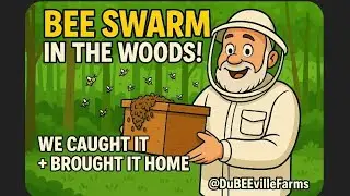 Bee Swarm Rescue (ft. Crickets 🦗) | Trap Removal and Walkthrough | DuBEEville Farms