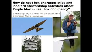 Effects of nestbox characteristics & landlord  activities on Purple Martin nestbox occupancy