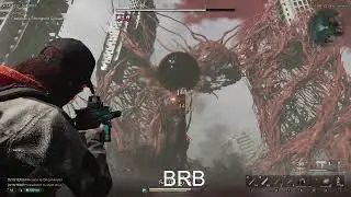 Lv50(hard) Rabizex solo run flawless.