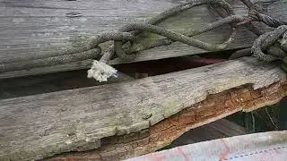 found old hunting tower at the 400