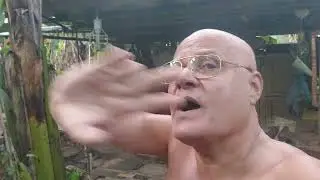 Porque o maluco Professor Pardal Gênio Cientista analfabeto Brasileiro foi pra chincha delegacia!
