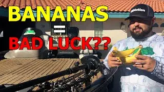 Is Bringing BANANAS on a BOAT Really BAD LUCK??