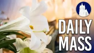 Daily Mass LIVE at St. Mary’s | May 7, 2025