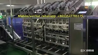 Fully Automatic Beauty Face Mask Machine Line