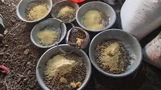 માવડીયુ ની મોજ