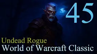 The Life of the Undead Rogue (WOW Classic) - Chapter 45
