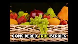 Fun Fact: Bananas Are Berries, but Strawberries Aren&rsquo;t!