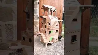 Une maison carton XXL pour chatons 🛠 #diy #chats #shortswithzita