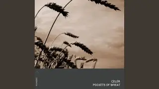 Pockets of Wheat I - VII