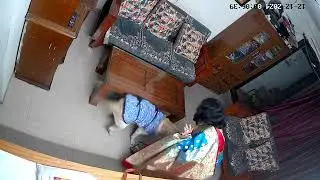 রুবি ঘরে একাএকা ছিল 🥰 আমাদের জন্য অপেক্ষা করছিল কখন আমরা আসব 🥰Ruby wait for mummy and papa🥰labrador🥰