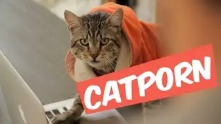 CATPORN - MANU MAIS PAS TROP