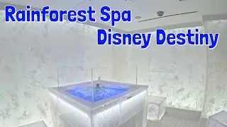 Rainforest Spa On The Disney Destiny