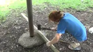 How to Make a Bamboo Wall