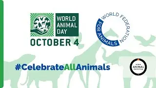 World Animal Protection | #CelebrateAllAnimals &ndash; World Animal Day 2025