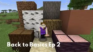 Back to Basics: MINECRAFT 1.21.11 Let's Play Ep 2!