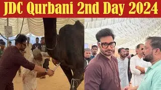 JDC Faisal Qurashi Sacrifice Black Camel 2024 | JDC Qurbani Black Camels | JDC Qurbani 2024