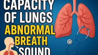 Lungs capacity & abnormal breath sound #chemistry #humanbody #biology #education #humanbodysystem 