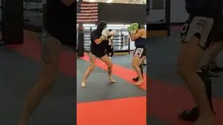 I swear he hit me first!!  #juliakins #funny #twitchclips