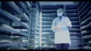 AGRI LIFE Corporate Video (incorporated in 1993)
