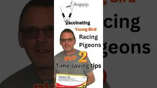 😎Vaccination + 2 Bonus tips!