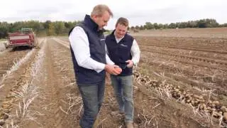 TuberLog Electronic Potato (German)
