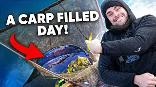 A Carp Filled Day!