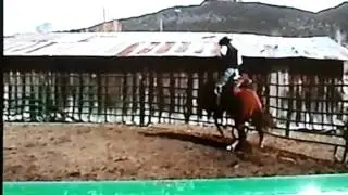 Bucking Horse Wild Ride