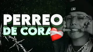 PERREO DE CORA - CarroSport