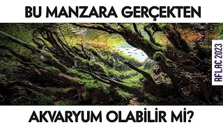 2023 | EN G&Uuml;ZEL BİTKİLİ AKVARYUM TASARIMI YARIŞMASI | RFLAC 2023 Aquascaping Contest