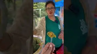 Kanchan didi ne pakode par kadhi daal di #shortsfeed #youtubeshorts