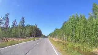Поездка на Белое море в 2025 году. Часть 84. 2025 07 22 195233 00